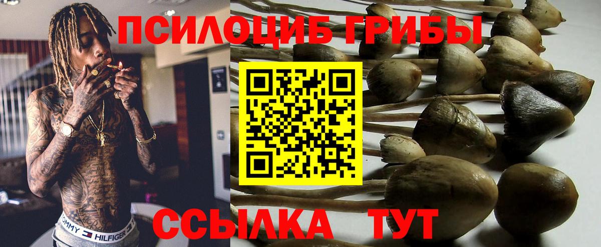 Псилоцибиновые грибы Magic Shrooms Карачаевск